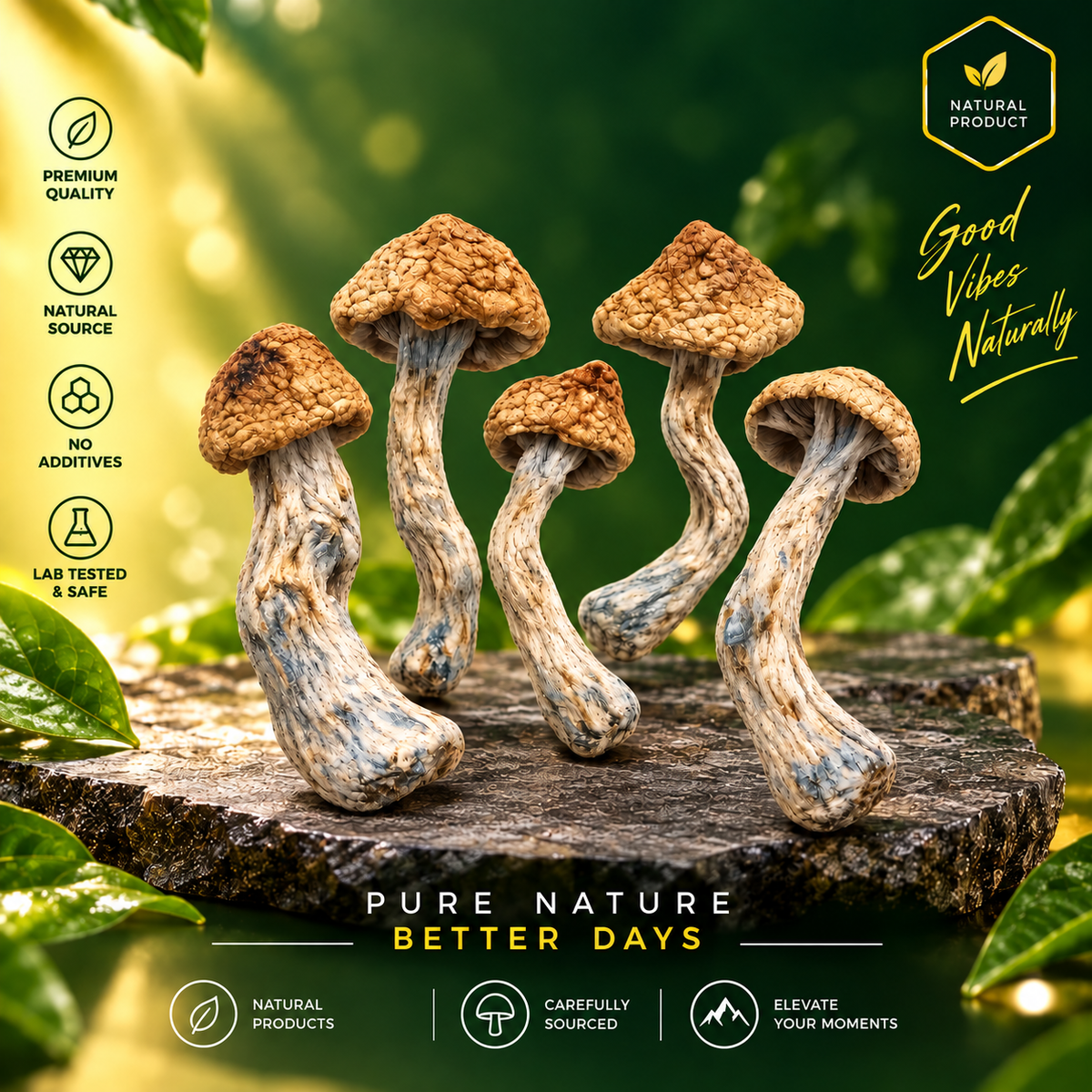 Golden Teachers