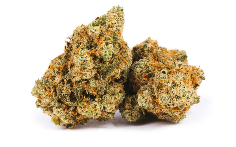 Jack Herer