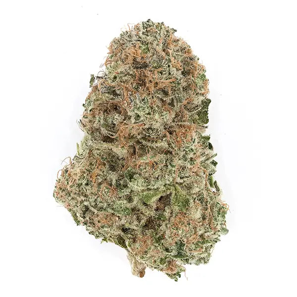Blackberry Kush