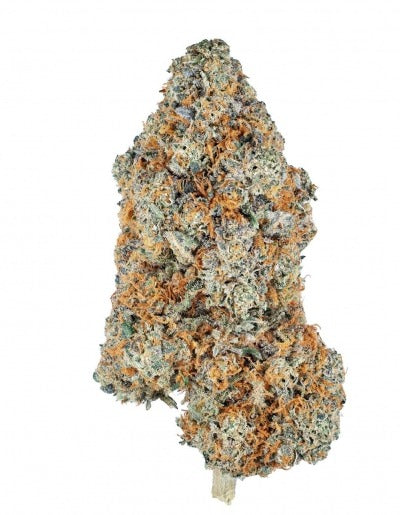 El Chapo AAAA+