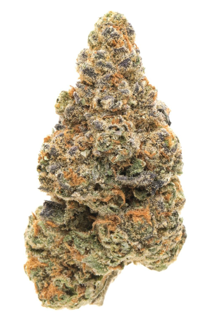 Gelato #42
