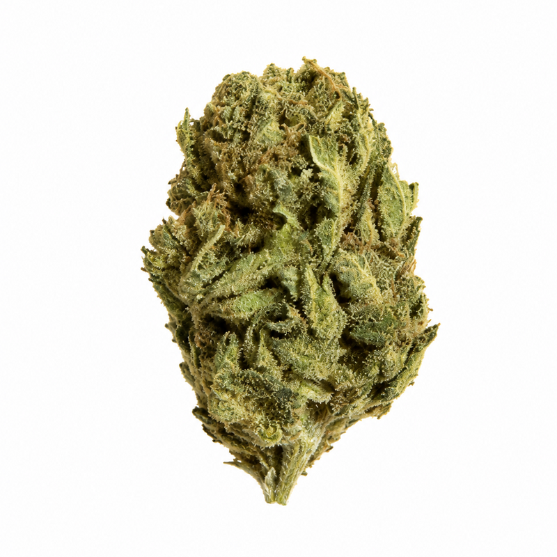 Hashplant
