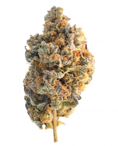 Purple OG AAA