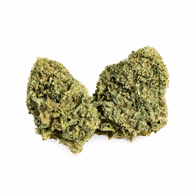 Master Kush